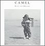 Camel. 1991 - Dust And Dreams
