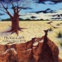 Frogg Cafe. 2005 - Fortunate Observer Of Time