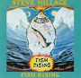 Steve Hillage. 1975 - Fish Rising