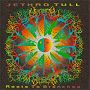 Jethro Tull. 1995 - Roots To Branches