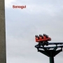 Senogul. 2007 - Senogul