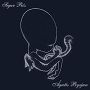 Sigur Ros. 1999 - Agatis Byrjun