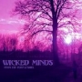 Wicked Minds. 2004 - From The Purple Skies